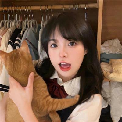 如果猫从世界上消失